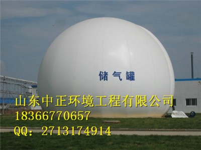 100�����pĤ�������X