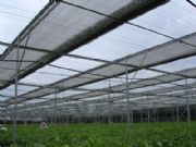 �w���ΓP�m��ꖾW|�N���õ���ꖾW�Ј��r����r