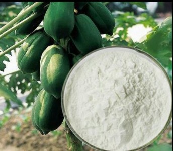 ʳƷ��ľ�ϵ���ø�r�� ø�Ƅ� 10�f20�fø����