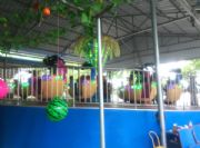 ���ɲʺ�/ħ������/��H�w܇