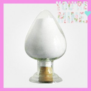 6-���������ʵ�����