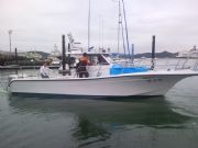 ���\��ͧ320���A��~ͧ