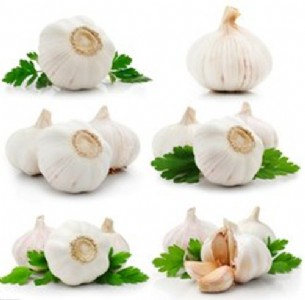 �F(xi��n)؛����(y��ng) ���� �����V�V�����ԏ�(qi��ng)�� ������