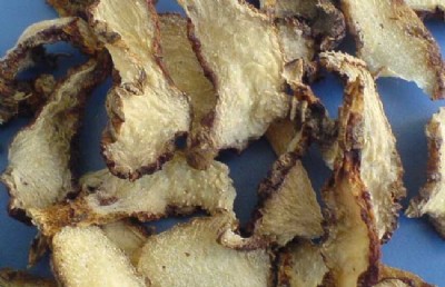 �F؛���� ���� �Ք�ֹѪ ���[���� ��ܸ��ȡ��