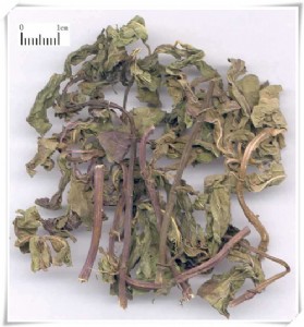 �S�ҹ��� ���ԃȷ������װY���õı����X