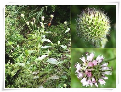 �F؛����   ���m����ȡ��