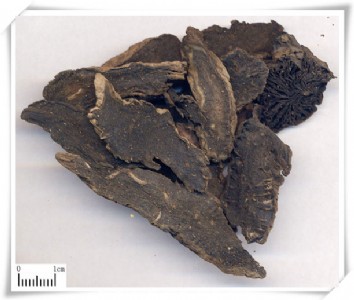 �S�ҹ���   ������ȡ��