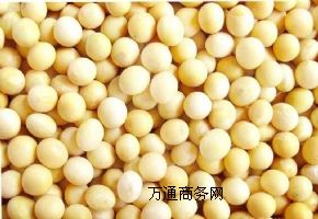 �����M(j��n)��һ��(j��)�󶹳���