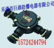 BHD2-25/3�V����|�Ӿ���