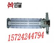 DGS36/127Y ��T�� ExdI ú�V�ßɹ��