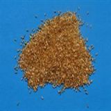 ���/���/�僼ӹ�