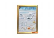 ���F2.5cm��ɫ�_��ʽ�V���