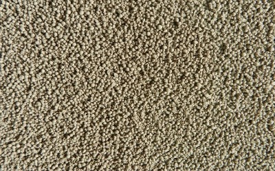 ���ϵ�ɭ�񻡺����������ИI�İlչӰ�