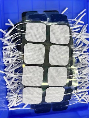 �V�|늘OƬ�S���Ă���16���аl�Fꠣ� ���������������@��