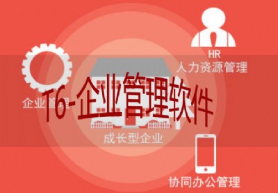 用友t6-erp訂貨通+助力美施