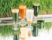 ����(y��ng)��֭��ϱ��r����YC-9-5-2(�D)