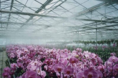 �Nֲ�ИI�ӝ���=���ҷNֲ�üӝ�C