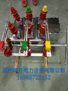 ZW8-12G/630�քӎ�110늷�