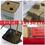 �ӱ���ˮ���Ǵ�Ҏģ���a��o���������r�I�r�މK �r�ޗl �r�ް�