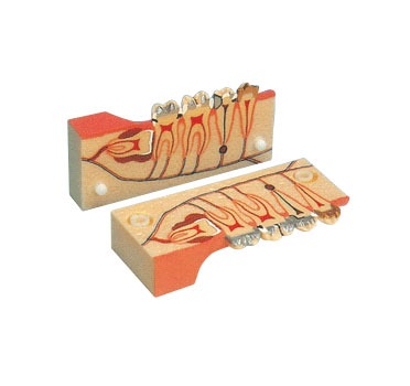 ���X��׃�C�ϲ����ֽ�ģ��