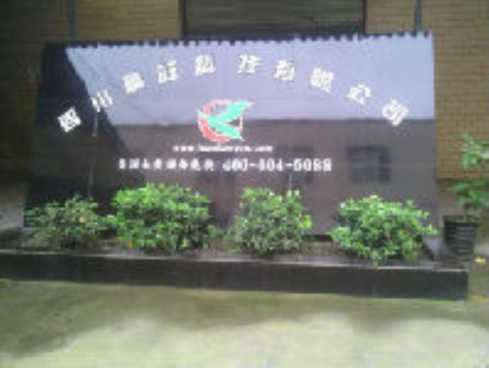 �Ĵ������Ƽ����޹�˾