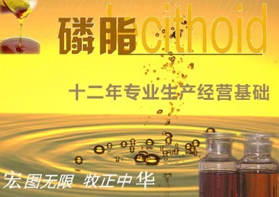 ����֬��ϵ��