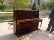 �m�ݵ���ؐ��؛�\�������m�ݵ���ؐ��������˾