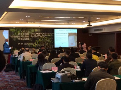 ���ͬ���g�O�䣬���h���r���g�O��