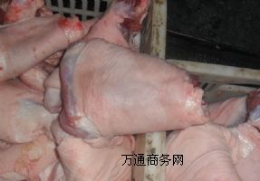 ����(y��ng)�S��ֱ�N�i���ӣ��i��Ƭ���i�����l(f��)