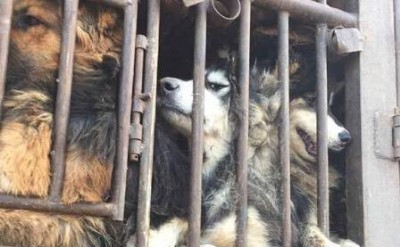 ���_�ҵĹ�-�Ϸ�չ�[��˾