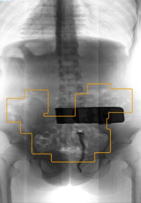 ��·�_(d��)���w�����z�y(c��)���z�C(j��)