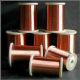 ����~�� ��֧�~�� 늙C�~��