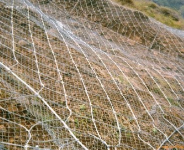 �ߏ��ȹ����WҎ��|spider�g���W�DƬ|֩����o�W��̖