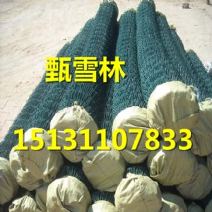 ����o�¹����Wһ��r�񡪡�14̖���s�ѹ����W2018���S�̓r