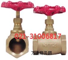 ����KITZ���ɽ�ֹ�y