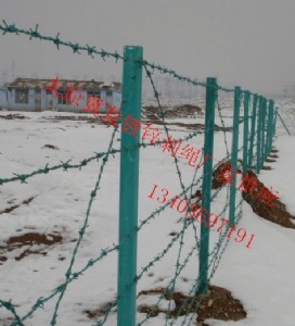 ̫ԭ�Gɫ���P�̽zɽ���@�־G���F�z�W�x�оGɫ��Ƥ�̾W