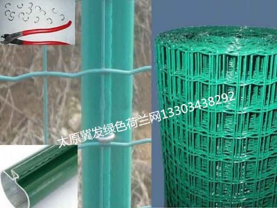 ɽ���B(y��ng)ֳ���ھW(w��ng)�\(y��n)�ǈ����o(h��)�ھW(w��ng)̫ԭ���˺��m�W(w��ng)