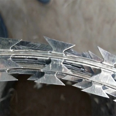 �ӱ��̽z�L�\�S�ҹ���(y��ng)�Ϻ���Ƭ�̾W(w��ng)�ؑc���P䓵�Ƭ�L�\