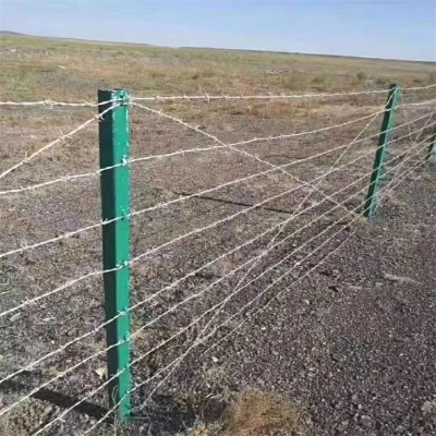 ���P䓽z�������F�z䓽z���K�̾��F�z�W����