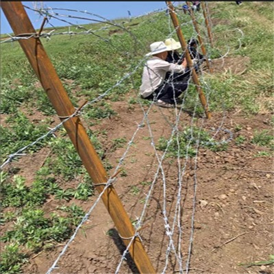 �F·pvc�����F��޼pvc�����F�z�W(w��ng)��(ch��ng)�ش��K����