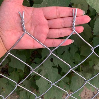 �ӱ���\���ξ����W(w��ng)�S�����ݾG�����ι����W(w��ng)Ȫ�ݑ��������o(h��)��