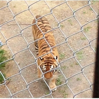 �ӱ�ú�V�������ξW�S�����w�����������W���d���X�w�������o����