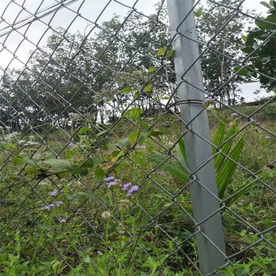 �ӱ�ú�V�������ξW�S�ҹ��������F�z�������ξW�Ϸʟ���\�Bֳ�W