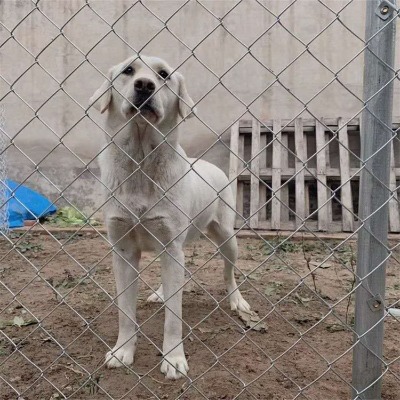 �ӱ��V�������^�W(w��ng)�S(ch��ng)�Ҿ�Ȫ�������o(h��)���ξW(w��ng)�����P(gu��n)�����(ch��ng)��������