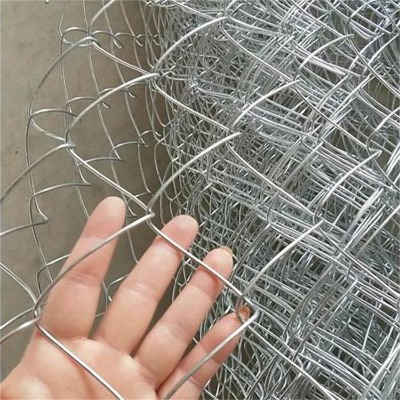 �ӱ�ú�V֧�o�W(w��ng)�S��ɽ�|ֲ�݇����F�z�W(w��ng)���Ϲ��@�B(y��ng)ֳ���o�W(w��ng)