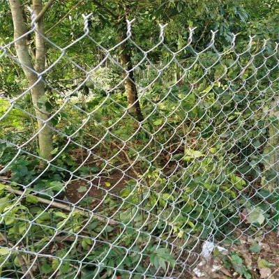 �ӱ�ú�V֧�o(h��)�W(w��ng)�S�ҹ���(y��ng)��ͨ�و��F�z���o(h��)�W(w��ng)�B�Ƹ۹��@���ڹ����W(w��ng)