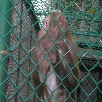 �ӱ�ú�V֧�o(h��)�W(w��ng)�S�ҹ���(y��ng)�㽭�����(ch��ng)�F�z�W(w��ng)���ݼ���Ȧ����x�W(w��ng)