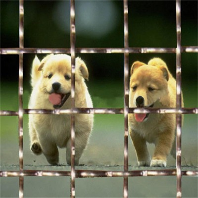 �ӱ�65�i䓺Y�W�S�ҹ����е�45̖��䓺Y�W����65�i䓺Y�W