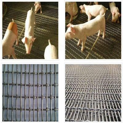 �ӱ��i���ӺY�W�S�ҟo�a�Ӵ֙Cе���o�W�����ܸ񹤘I䓽z�WƬ