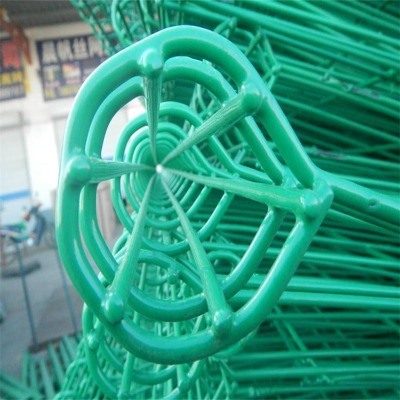 �ӱ������o�ھW�S����ľ�Rƴ�bʽ�w���o�W���������WУ�و��o�ھW